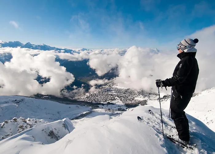 木屋 The 韦尔比耶
