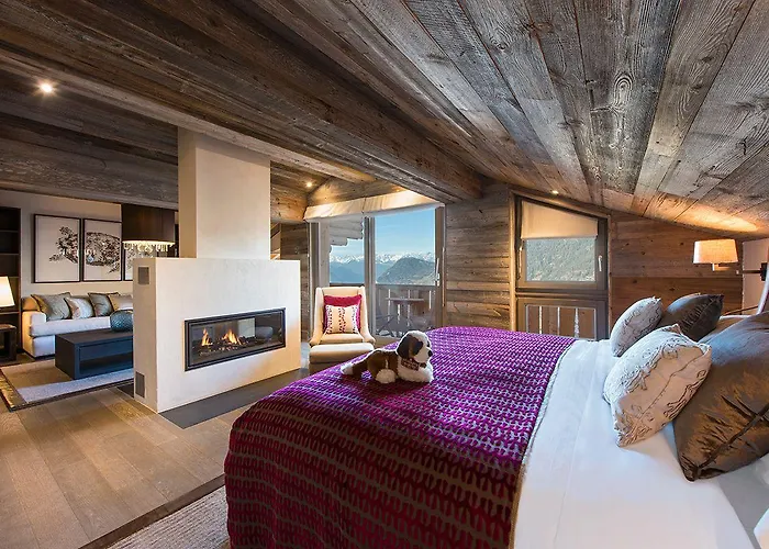 木屋 The 韦尔比耶